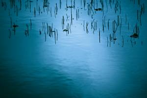 Hugues Willy KREBS - NEREIDES STUDIO