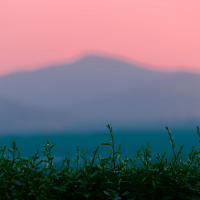 Nathan MORISSEAU - Morisseau